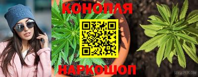 трава Будённовск