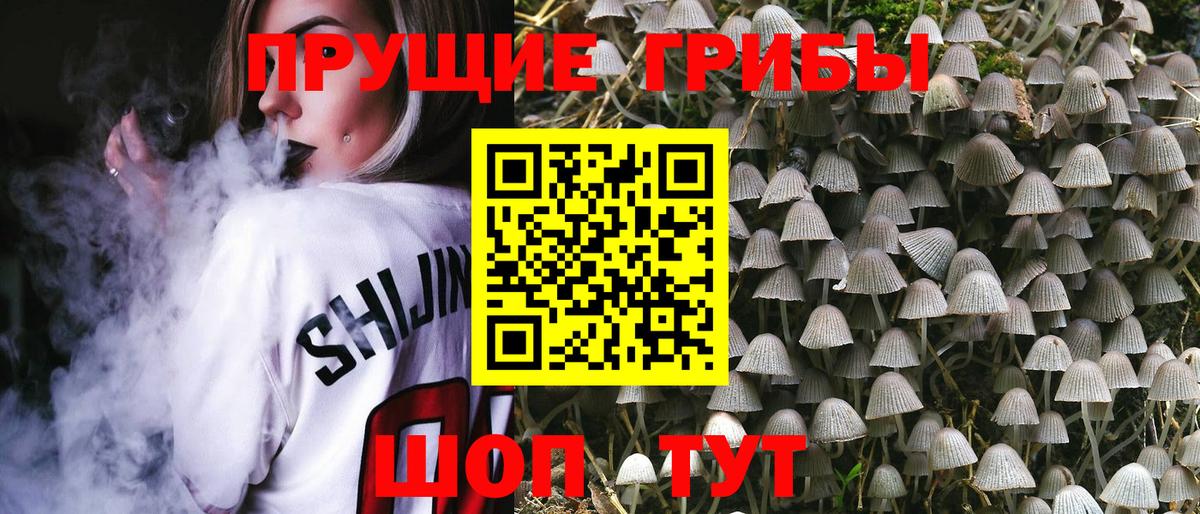Псилоцибиновые грибы Psilocybine cubensis  Псилоцибиновые грибы GOLDEN TEACHER  даркнет сайт  Вход с VPN  Богородицк 