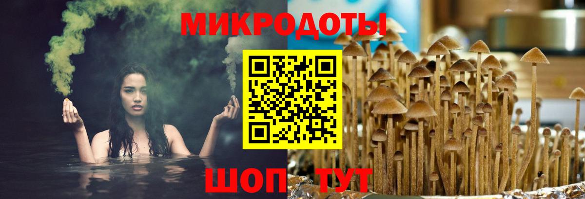 Галлюциногенные грибы Psilocybine cubensis Богородицк