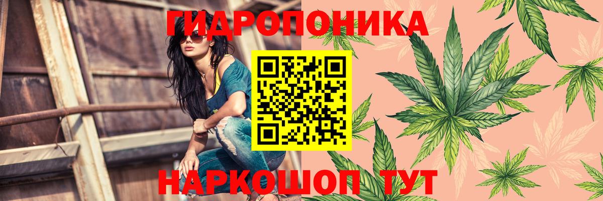 Бошки Шишки гибрид Богородицк